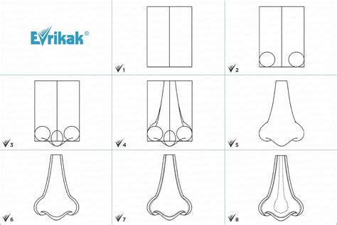Как правильно нарисовать нос?