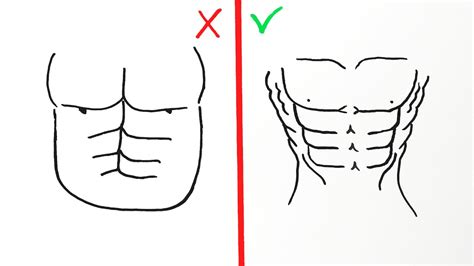 Как правильно нарисовать пресс на картинке