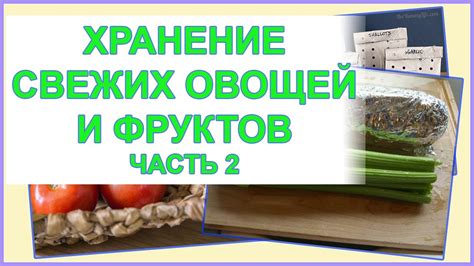 Как правильно советы по хранению и сохранению свежих помидоров