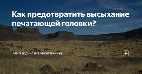 Как предотвратить высыхание лайнера: основные меры