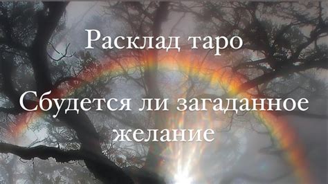 Как предсказать сбудется ли желание: 5 простых способов