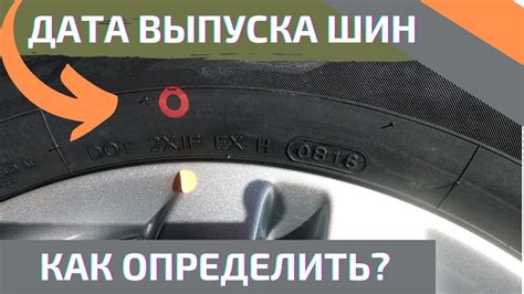 Как проверить дату производства шин Dunlop