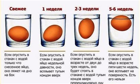 Как проверить свежесть яиц