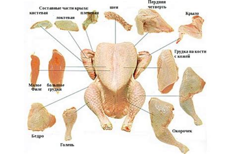 Как разделить курицу на части