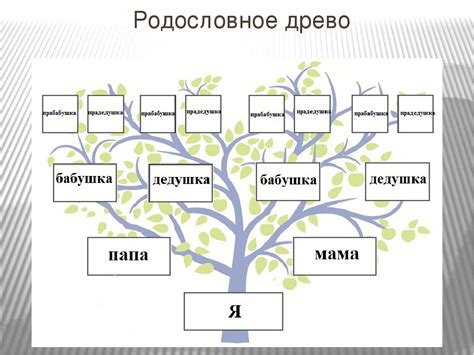 Как разделить родословную на поколения