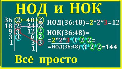 Как создать эффективный Нок?