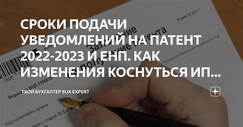 Как сэкономить на патенте для ИП в 2022 году?