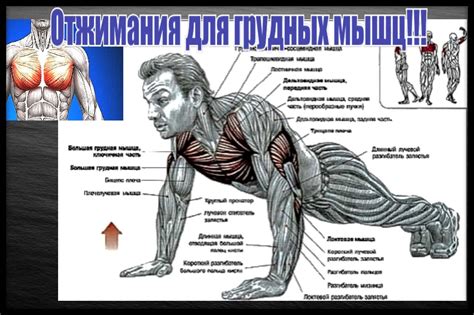 Как увеличить нагрузку на спину при отжиманиях