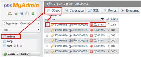 Как удалить базу данных MySQL: инструкция по шагам