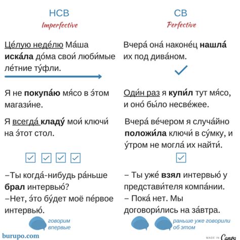 Как узнать НСВ и СВ: основные индикаторы