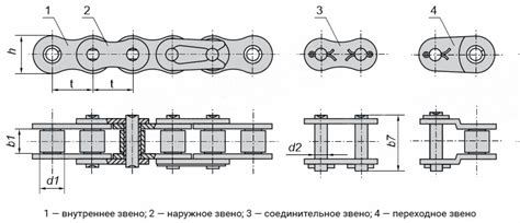 Как узнать вид цепи