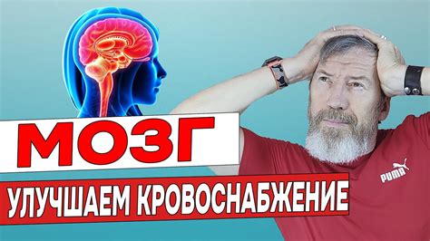 Как улучшить работу мозга и память с помощью ежедневных упражнений