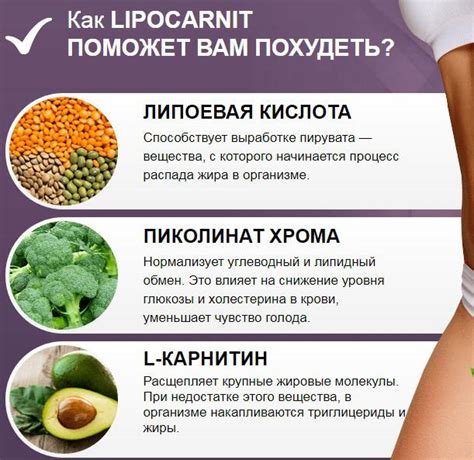 Как ускорить процесс жиросжигания в организме