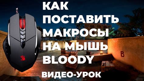 Как установить Bloody 7 на компьютер?