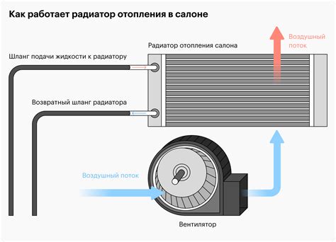 Как устроена ухсая?