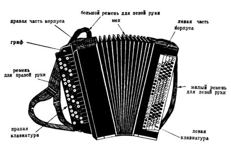 Как устроен баян