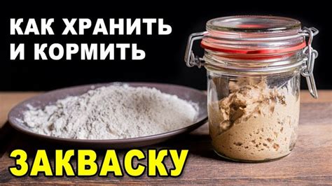 Как хранить закваску для выпечки хлеба