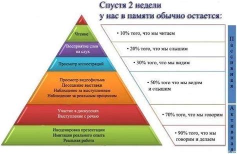 Как человек запоминает информацию: