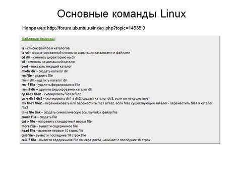 Команды консоли раст: базовые операции