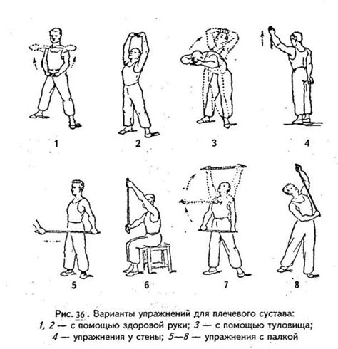 Комплекс упражнений для развития плечевого пояса