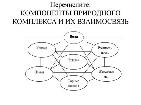 Компоненты USB камеры и их взаимосвязь