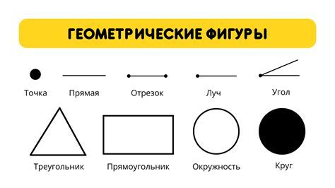 Контуры и основные формы