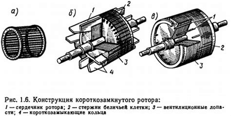 Короткозамкнутый ротор: определение и особенности