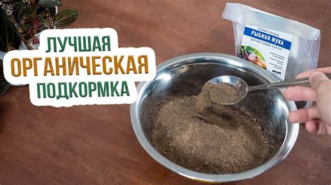 Костная мука: процесс приготовления