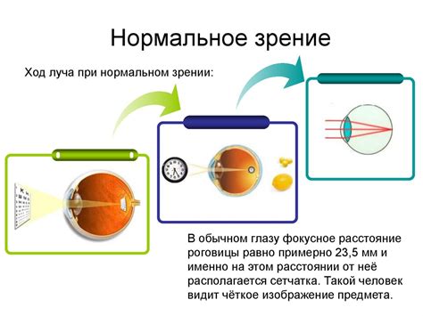 Краевое зрение и безопасность