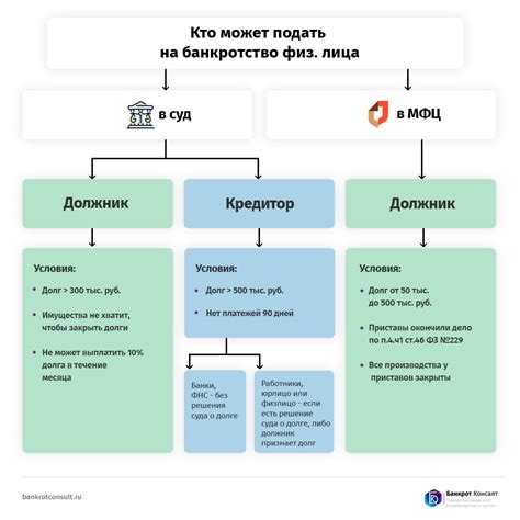 Кто имеет право подать заявление на банкротство по мораторию в 2022 году