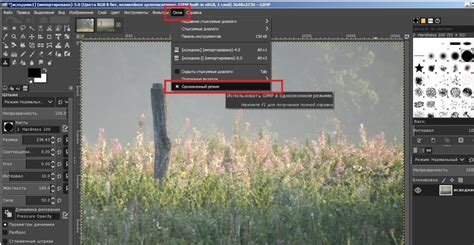 Лечебная кисть в GIMP: возможности и применение