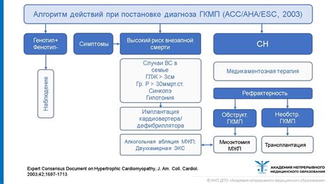 Лечение шингаса: основные методы