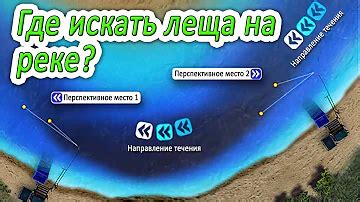 Лучшие места для ловли леща: где искать?