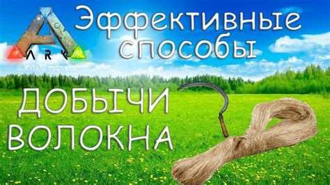 Лучшие методы фарма экспедиций