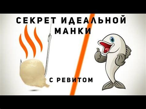 Лучшие рецепты манки с ревитом для рыбалки