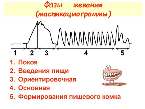 Малоэффективность жевания