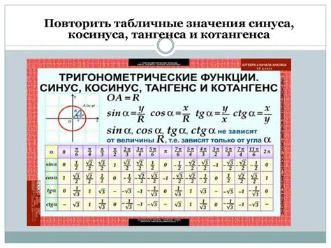 Математическое определение косинуса и его значение