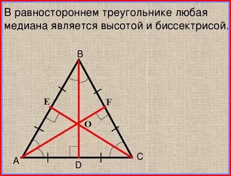 Медиана равностороннего треугольника: простая инструкция