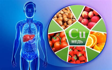Медь в организме: проблема и решение
