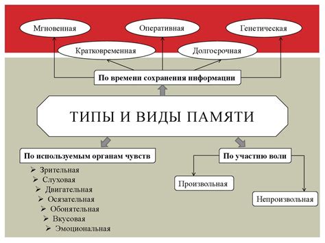 Менеджеры памяти и процессов