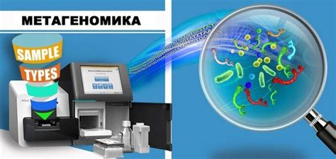 Метагеномика и исследование микробиома человека