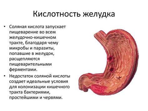 Методы и способы узнать рн желудочного сока