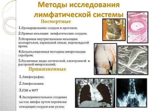 Методы обследования лимфатической системы