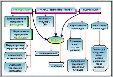 Методы определения гибридизации