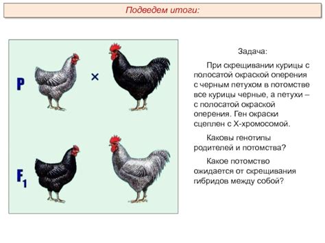 Методы определения пола курицы по физиологическим признакам