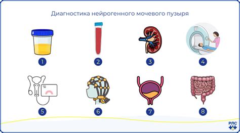 Методы определения полного мочевого пузыря