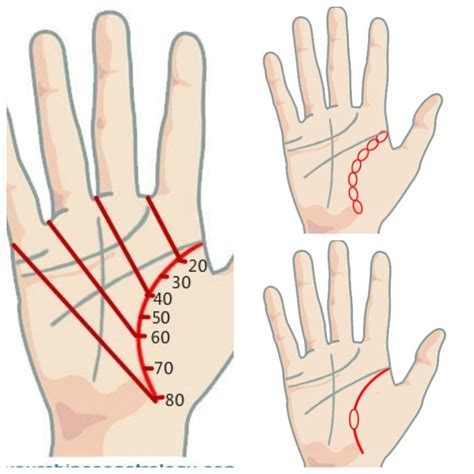 Методы определения продолжительности жизни по линии руки