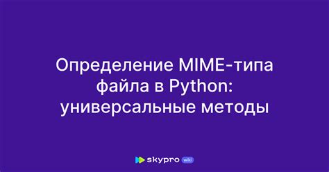 Методы подключения файла Python