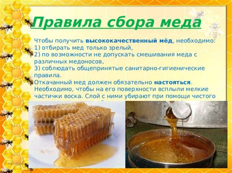 Методы смешивания меда и мумиё