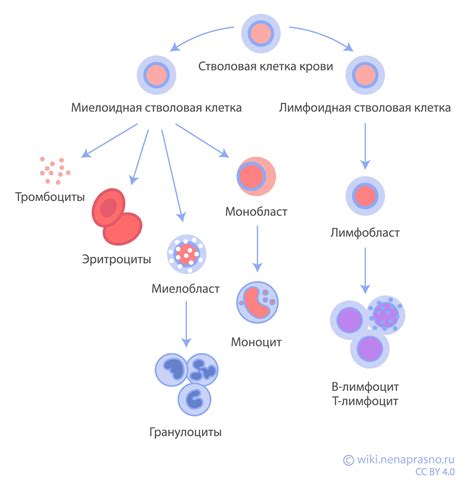 Методы убирания хромакея